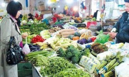 爆料江南买菜视频播放大全,趣味市井生活瞬间回顾